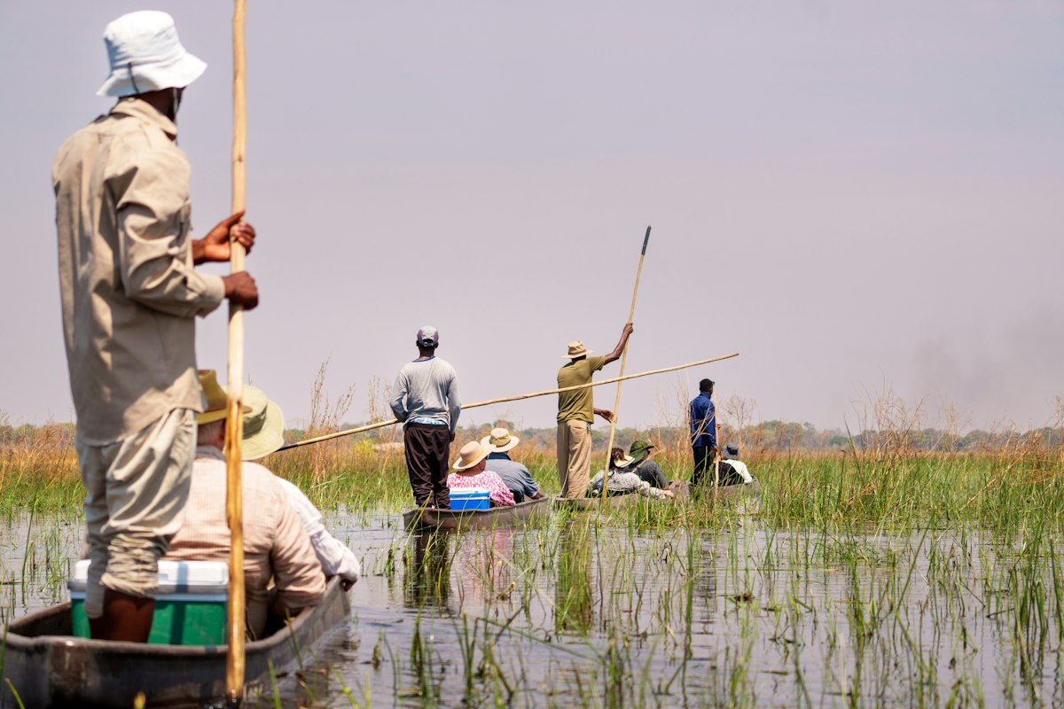 Vlees en wild uit lokale jacht